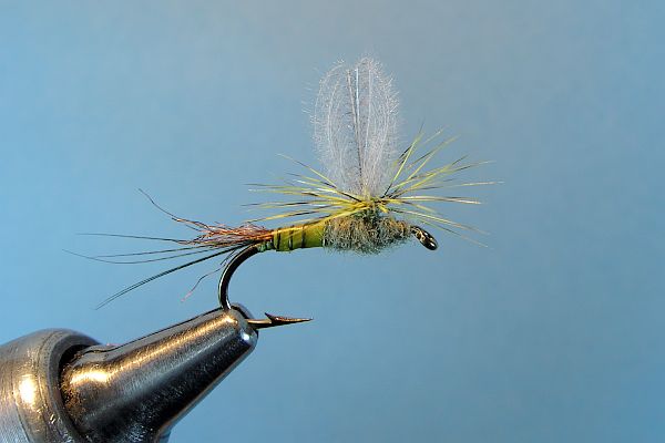 parachute