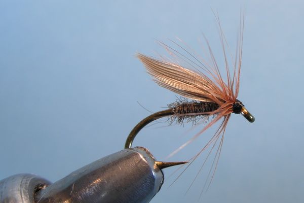 Blacker's Ant Wet Fly
